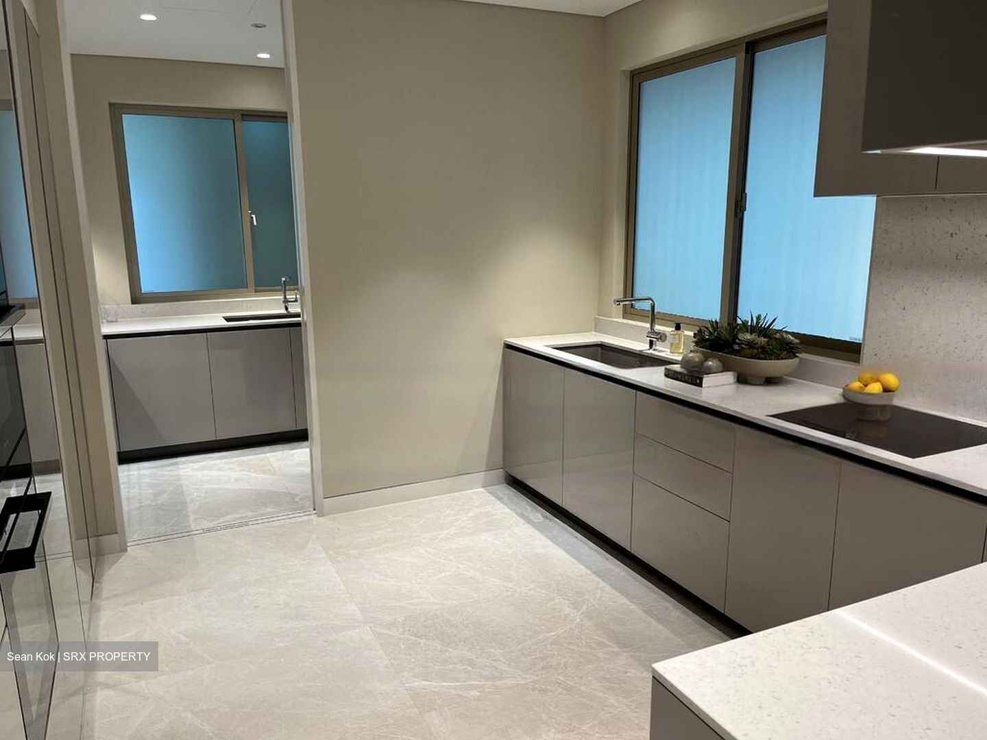 Hana (D10), Condominium #457982471